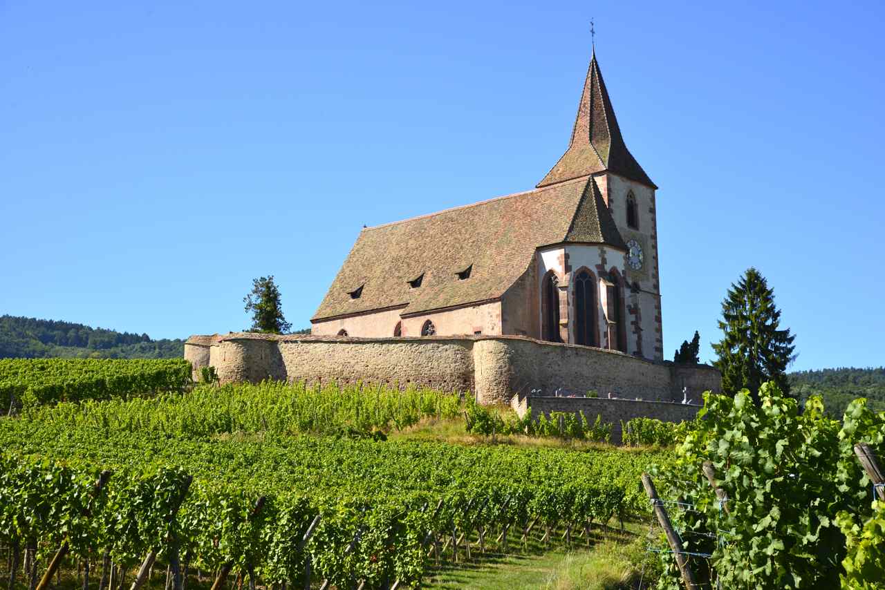 L'église romane fortifiée St Jacques le Majeur protège Hunawihr